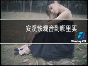 安溪铁观音到哪里买