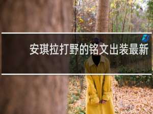 安琪拉打野的铭文出装最新