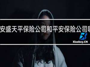 安盛天平保险公司和平安保险公司哪个好