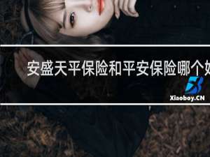 安盛天平保险和平安保险哪个好