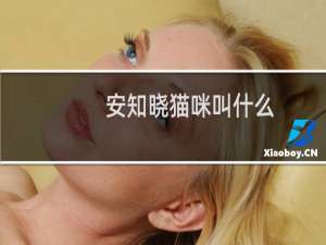 安知晓猫咪叫什么