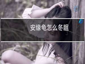 安缘龟怎么冬眠