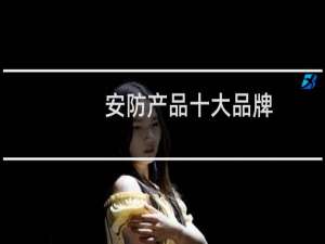 安防产品十大品牌