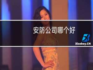 安防公司哪个好