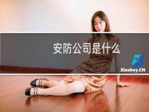 安防公司是什么