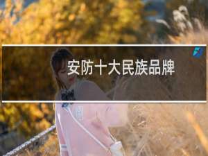 安防十大民族品牌