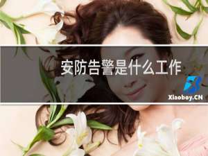 安防告警是什么工作
