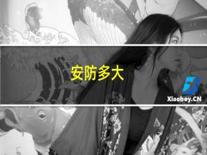 安防多大