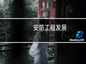 安防工程发展