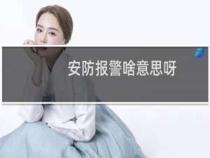 安防报警啥意思呀