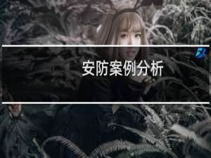 安防案例分析