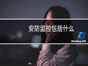 安防监控包括什么