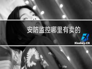 安防监控哪里有卖的