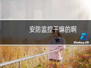 安防监控干嘛的啊