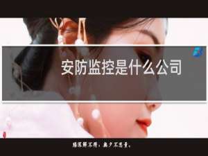 安防监控是什么公司