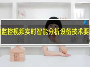 安防监控视频实时智能分析设备技术要求