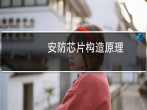 安防芯片构造原理