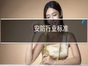 安防行业标准