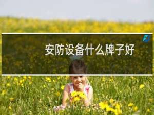 安防设备什么牌子好