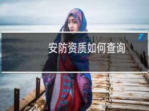 安防资质如何查询