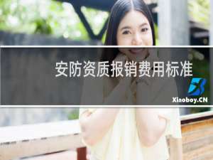 安防资质报销费用标准
