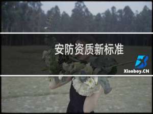 安防资质新标准