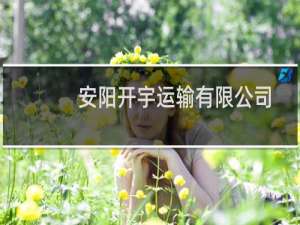 安阳开宇运输有限公司