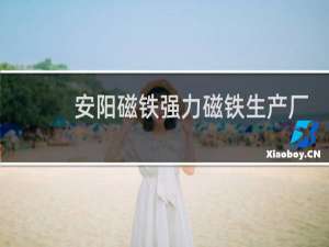 安阳磁铁强力磁铁生产厂家