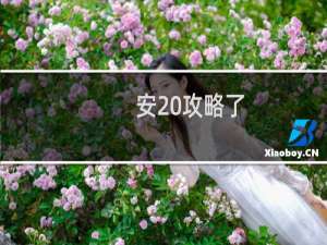 安 攻略了