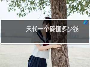 宋代一个碗值多少钱