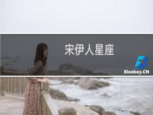 宋伊人星座