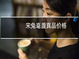 宋兔毫盏真品价格