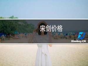 宋剑价格