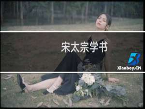 宋太宗学书，《宋太宗学书》阅读答案及原文翻译