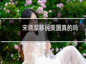 宋晓军移民美国真的吗