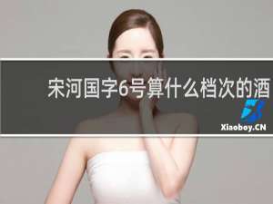 宋河国字6号算什么档次的酒