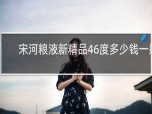 宋河粮液新精品46度多少钱一瓶