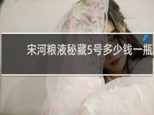 宋河粮液秘藏5号多少钱一瓶