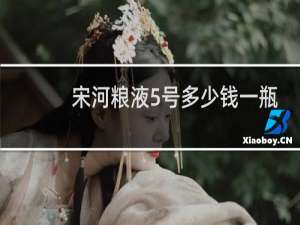 宋河粮液5号多少钱一瓶