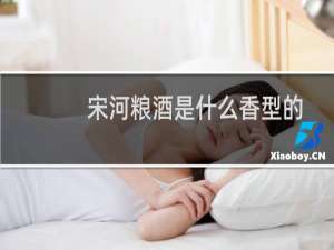 宋河粮酒是什么香型的