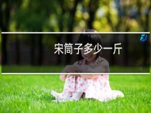 宋筒子多少一斤