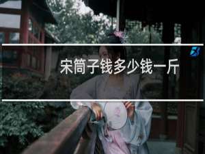 宋筒子钱多少钱一斤