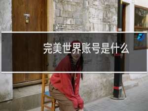 完美世界账号是什么