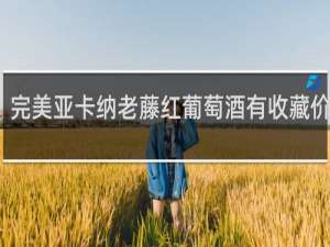 完美亚卡纳老藤红葡萄酒有收藏价值吗