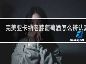 完美亚卡纳老藤葡萄酒怎么辨认真假