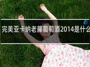 完美亚卡纳老藤葡萄酒2014是什么意思