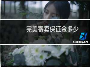 完美寄卖保证金多少