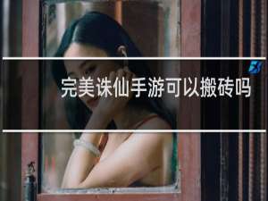 完美诛仙手游可以搬砖吗