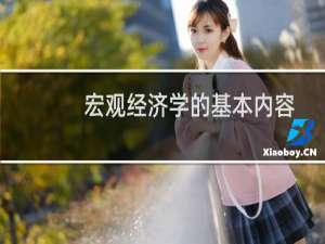 宏观经济学的基本内容