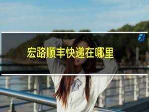 宏路顺丰快递在哪里